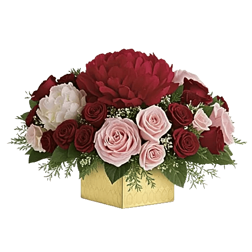 Petal Radiance Bliss