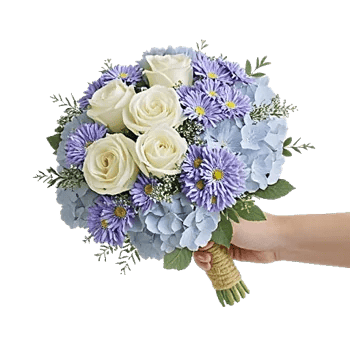 Serene Petal Harmony