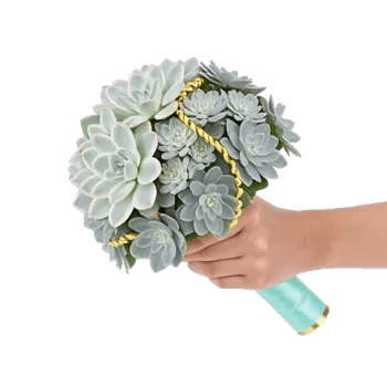 Emerald Leaf Harmony