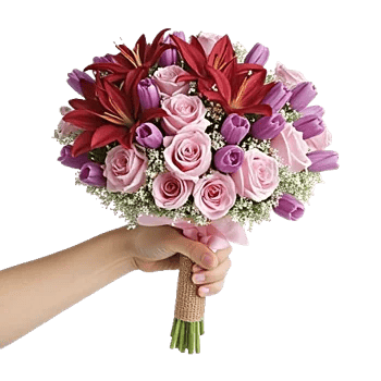 Blushing Rose Symphony