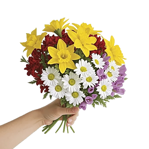 Crisp Spring Blooms