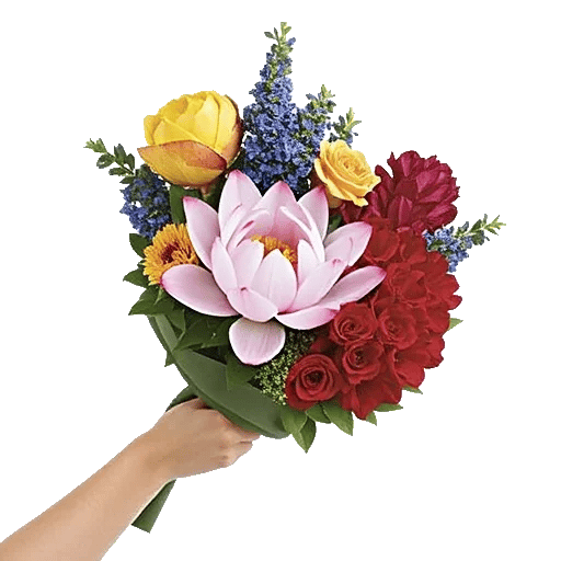 Blossom Grace Spread