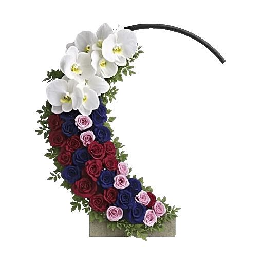 Modern White Orchids