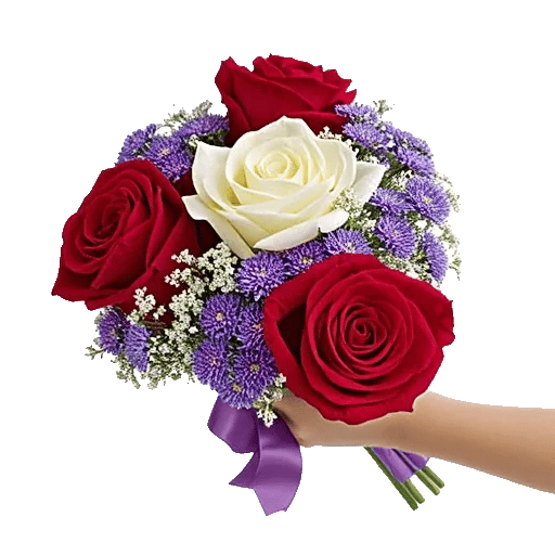 Crimson Rose Elegance