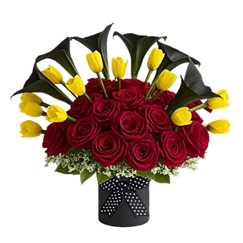 Elegant Calla Lilies