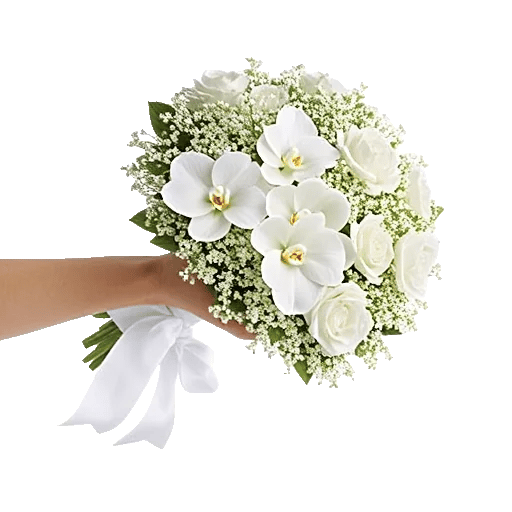 Minimalist White Orchids