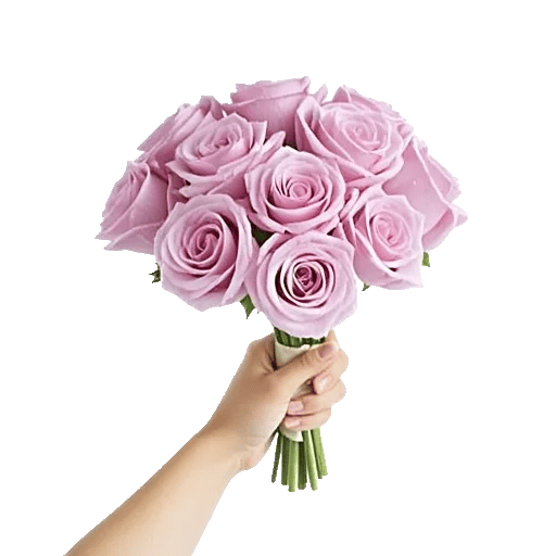 Pastel Pink Roses