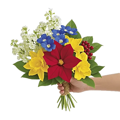 Blossom Harmony Display