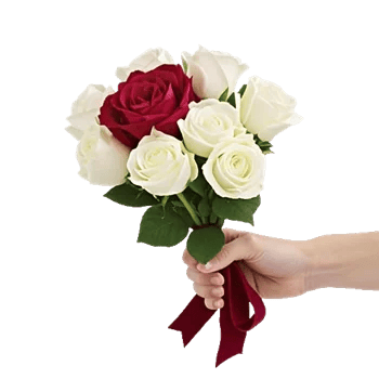 Crimson Rose Elegance