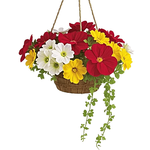 Petal Radiance Bliss