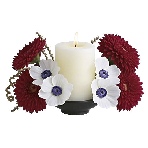 Ivory Blossom Radiance