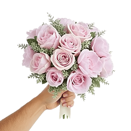 Pastel Pink Roses