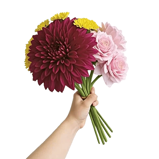 Crimson Blossom Harmony