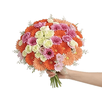 Delicate Petal Cascade
