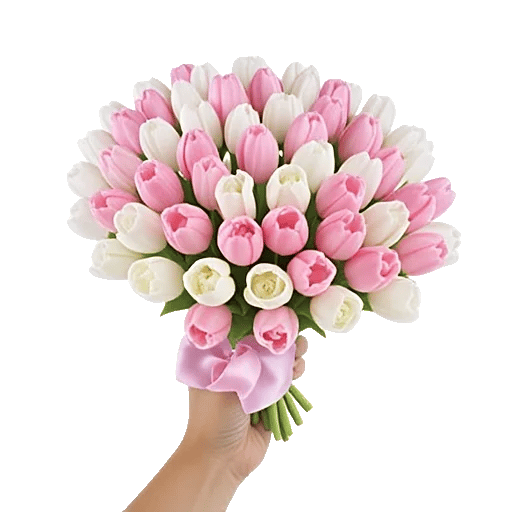 Velvet Tulip Display