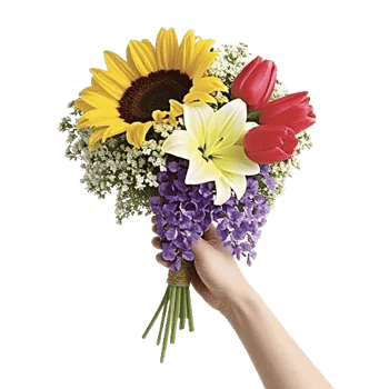 Twinkling Sunflower Dance