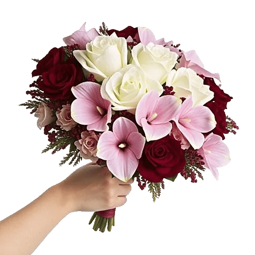 Elegant Calla Lilies