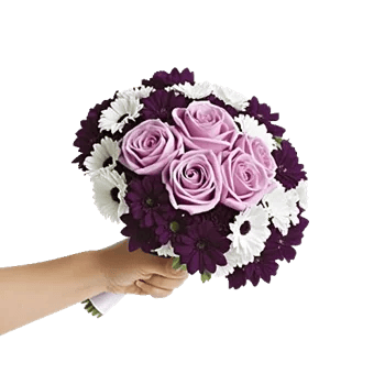 Blushing Rose Symphony