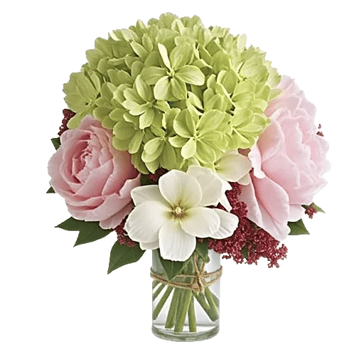 Ivory Blossom Radiance