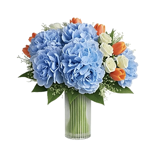 Azure Sky Blooms