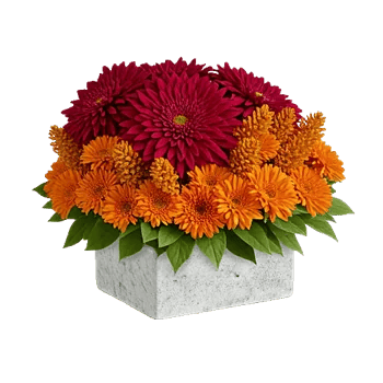 Ruby Petal Cascade