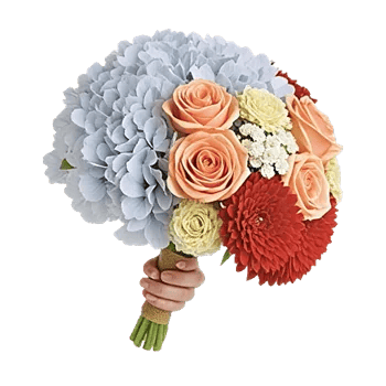 Serene Petal Harmony