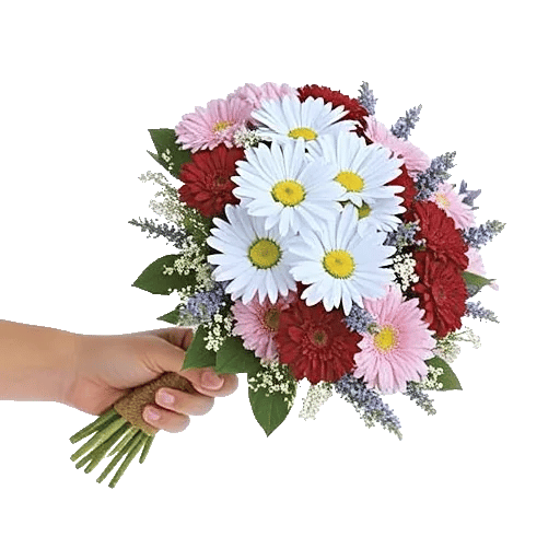 Blossom Petal Serenity