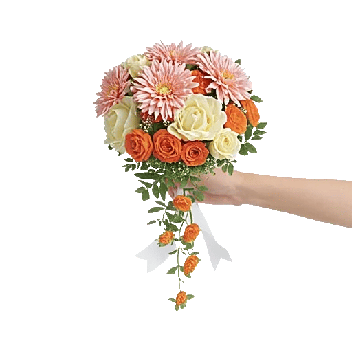 Delicate Petal Cascade