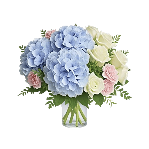 Serene Petal Harmony