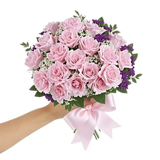 Pastel Pink Roses