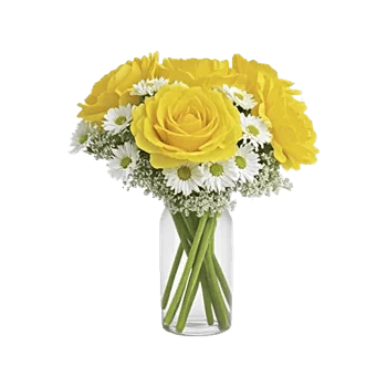 Delicate Petal Cascade