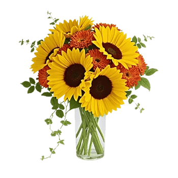 Radiant Bloom Cascade