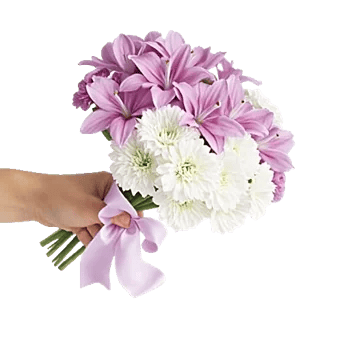 Lavender Bloom Grace