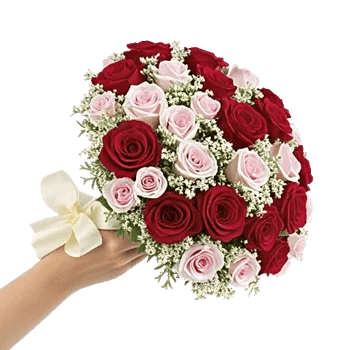 Crimson Rose Elegance