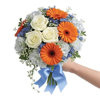 Serene Petal Harmony