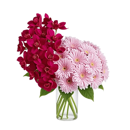 Orchid Bloom Cascade