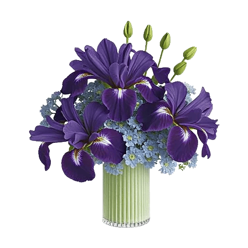 Ivory Blossom Radiance