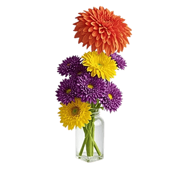Radiant Bloom Cascade