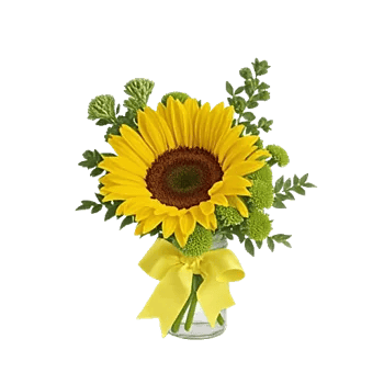Bright Cheerful Sunflowers