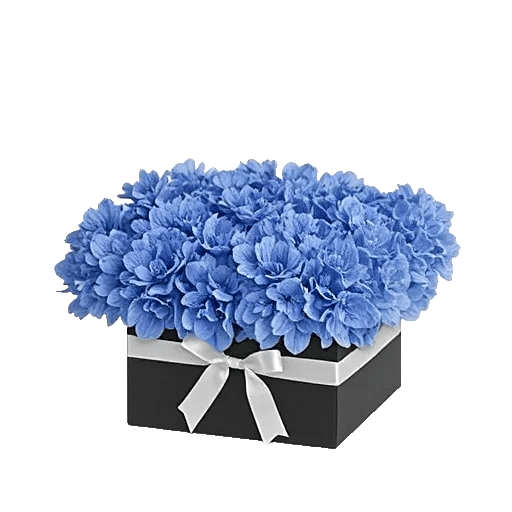 Sapphire Bloom Whisper