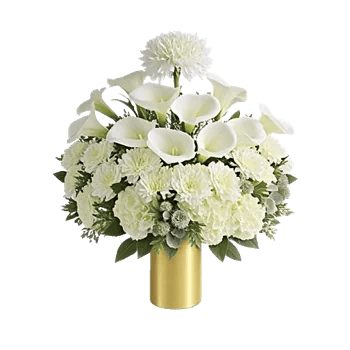 Elegant Calla Lilies
