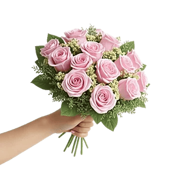 Pastel Pink Roses