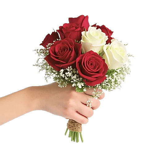 Crimson Rose Elegance