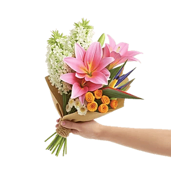 Blossom Harmony Display