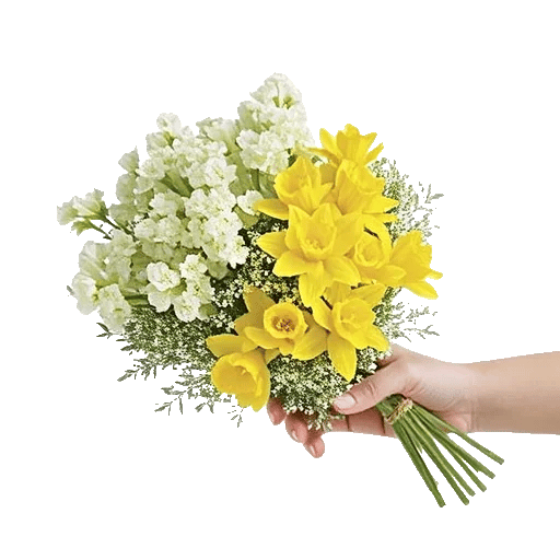 Blossom Harmony Display