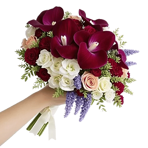 Orchid Bloom Cascade