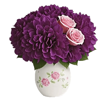 Ivory Blossom Radiance