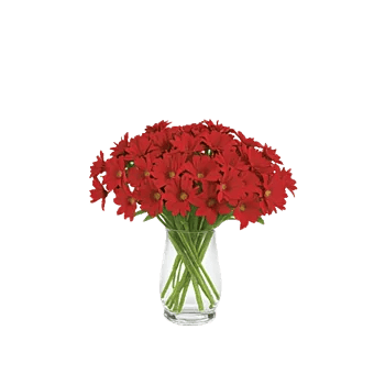 Crimson Blossom Harmony