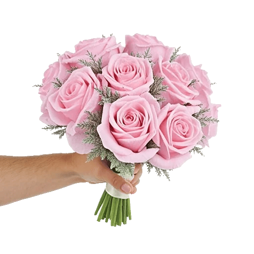 Pastel Pink Roses