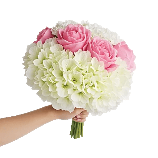 Ivory Blossom Radiance